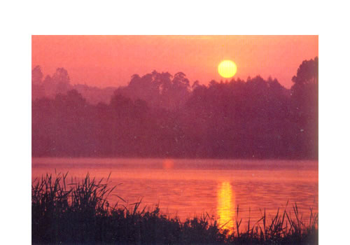 pérdida de biodiversidad